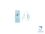 کنترل برنامه پذیر IC دار ریموت RF